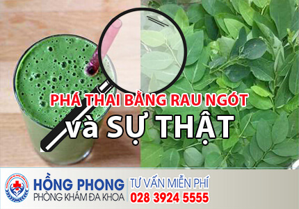 Diễn đàn rao vặt tổng hợp: Phá thai bằng rau gót có an toàn không? Cach-pha-thai-bang-rau-ngot