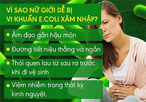 Vì sao bị viêm đường tiết niệu?